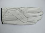 golf glove , golf gloves , glove , gloves