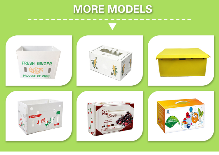 Corruone Hot Sale Customized waterproof foldable PP polypropylene sheet Material Vegetable Fruit Packaging and delivery Boxes