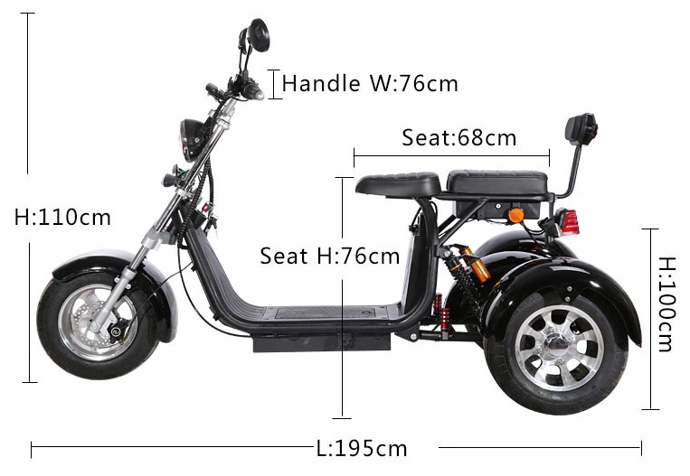 All Terrain 3 Wheel Electric Scooter 2 Seater 3000W EEC COC