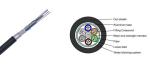 Aluminium Tape Glass Fiber Optic Cable Customized Jacket Strong Tension Stress