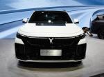 VOYAH Free Electric Vehicle 4WD Electric Sport Utility Vehicle