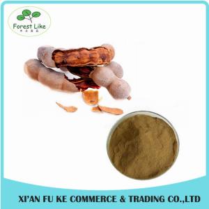Quality Water Soluble More Nutrition Hot Sale Tamarind Seed Extract wholesale