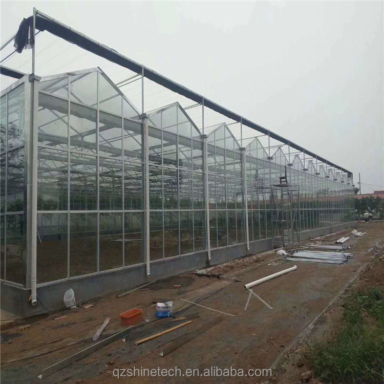 Glass Cover NFT Hydroponic Growing Systems The Ultimate Solution for Vertical Farming