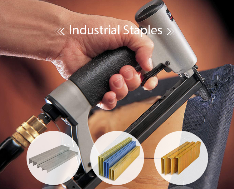 N17 16 Gauge N Series 2 Inch Galvanized Pneumatic Staples