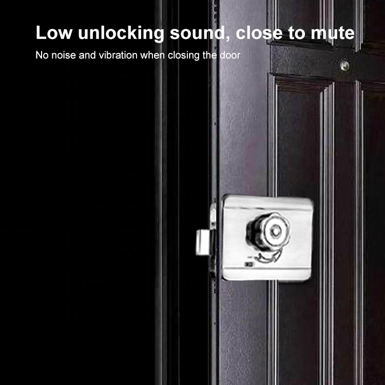 Outside 12v Security Mechanical Magnetic Electric Rim Lock
