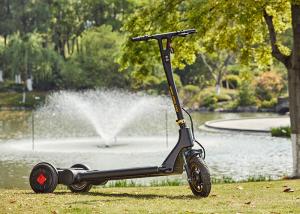 Quality 30KG Portable Electric Scooter wholesale