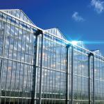 Multi Span Venlo Type Greenhouse / PC Polyethylene Film Greenhouse Sides