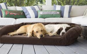 Quality Luxury Suede Memory Foam Orthopedic Dog Bed , Non - Slip Bottom Orthopedic Egg Crate Dog Bed wholesale