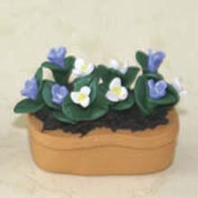 Quality Model Ceramic pot Flower CF49 wholesale