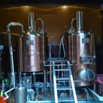 200L brewpub equipment for sale for small business on craft beer