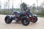 4 Gear Shift Riverbed 250cc Youth Atv 4 Wheelers