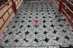 Customsized Stainless Steel Wire Mesh Conveyor Belt/Stainless Steel Chain