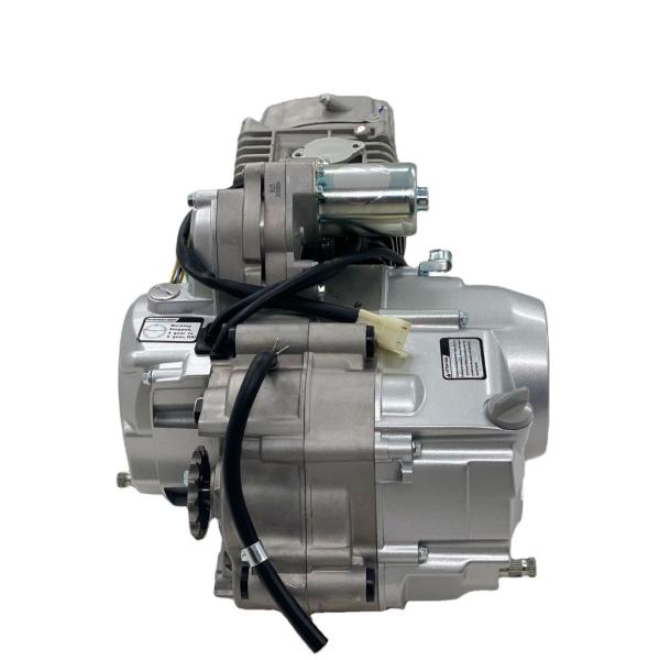 Single Cylinder 4 Stroke F135cc Motorcycle Engine Assembly for Pit Bike Atv
