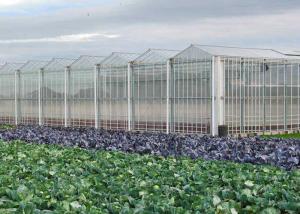 Quality Hydroponic Planting Agricultural Polycarbonate Greenhouse wholesale