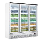 R290 Vertical Glass Door Refrigerator Merchandiser With Low Energy Consumption