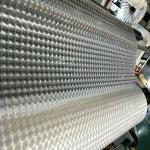 Bopp Hologram 3D Film , Embossed Lamination Film For Packaging Supporting