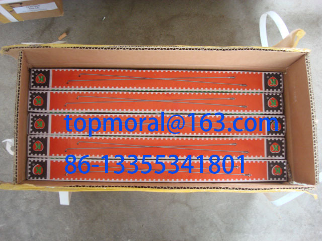 Bicycle Spokes with Red Tip