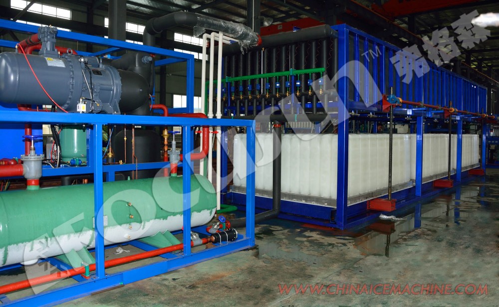 Heavy Duty 30 Ton/Day Direct Cooling Block Ice Making Machine with Bitzer Compressor