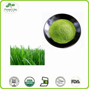 Quality High Quality Barley Grass Powder wholesale