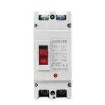 2 Pole DC 1000V Molded Case Circuit Breaker