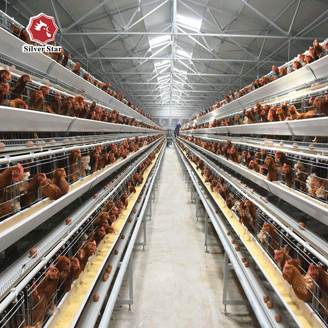 10000 Layers New Design Layer Hen Cage Battery Cage Eggs
