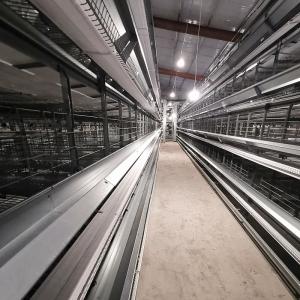 Quality 3-8 Tiers Poultry Cage Battery System U type HDG Steel Material wholesale