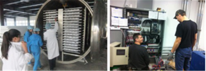 Fruits Vegetables 10m2 Vacuum Freeze Drying Machine