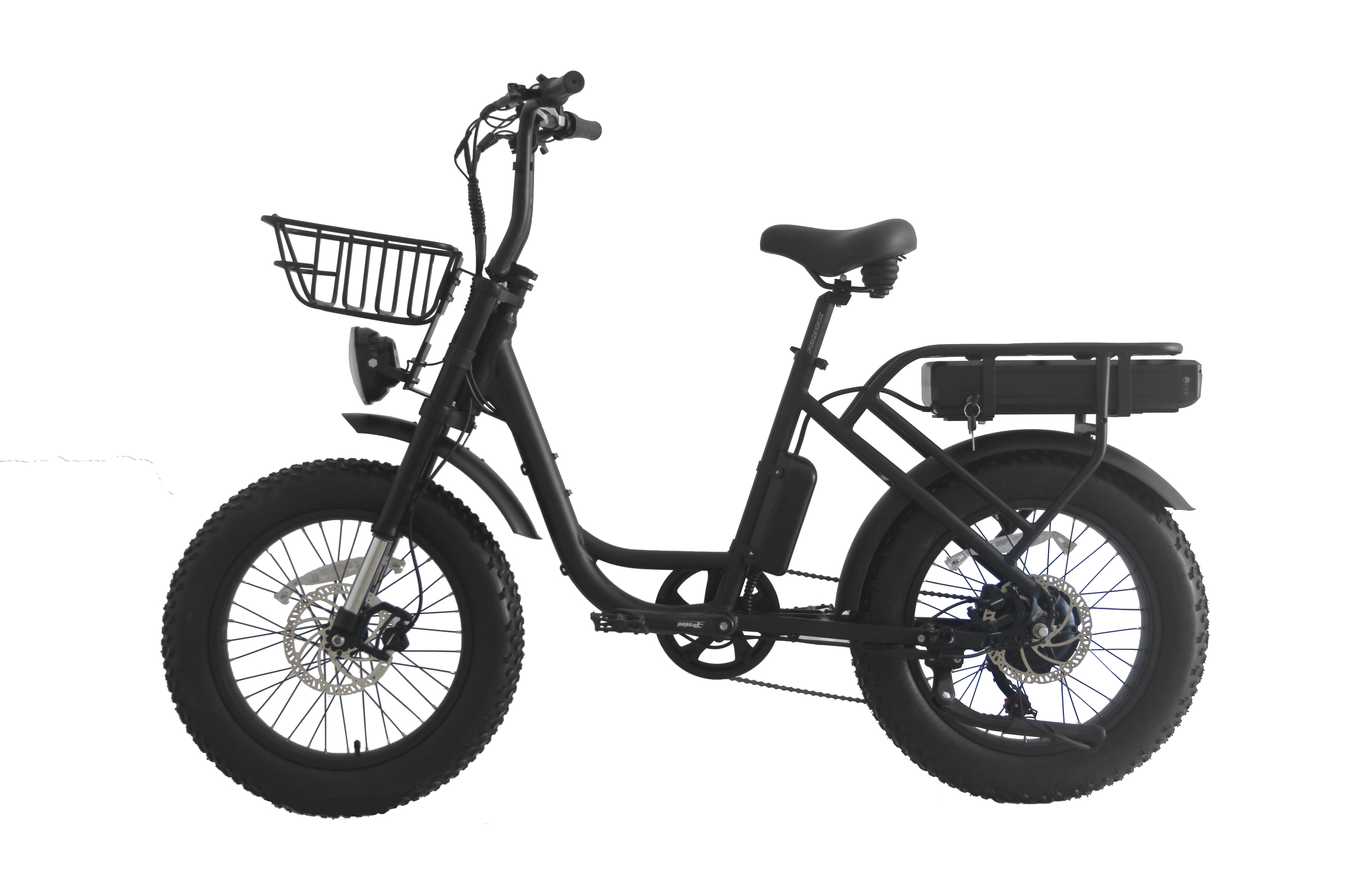 City Riding Made Fun with 48V Retro Electric Bike and Lithium E-Bike Battery Fat Tire
