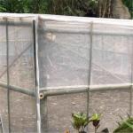 anti insect netting manufacturer