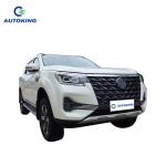 5 Seats Ev Pickup Truck 2wd Paladin Ariya 500 600 Plus ARIYA 4Wd Pickup Truck