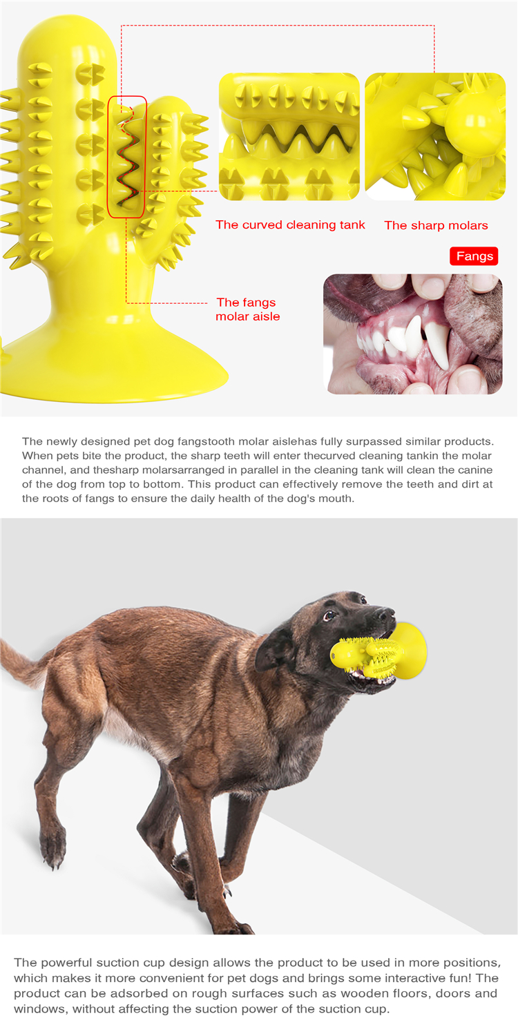 Durable Rubber Cactus Tough Interactive Squeaky Dog Toys For Aggressive Chewers