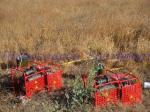 Hydraulic portable drilling rig