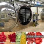 Easy Cleaning Freeze Dry Vacuum Chamber High Performance CE Certificated