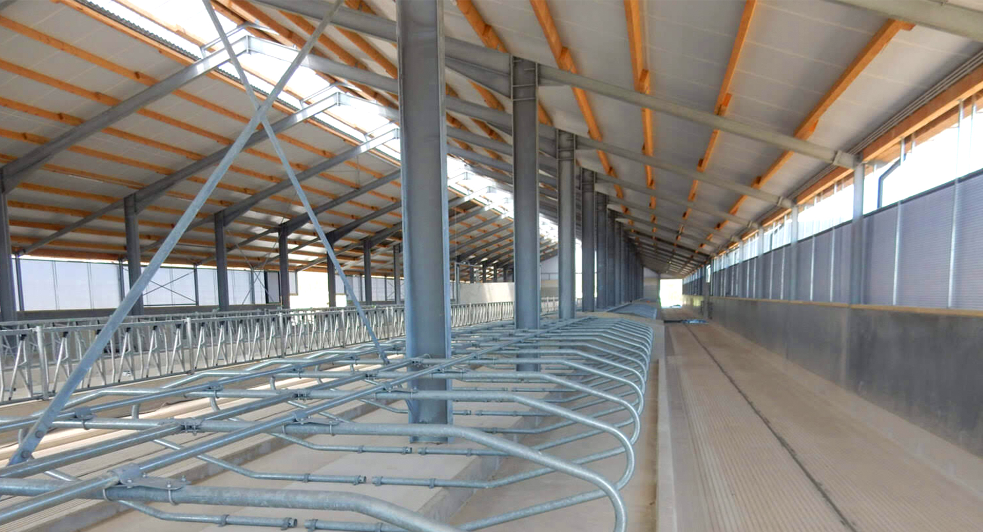 Aluminum Alloy Window and Q345 Prefab Steel Cow Farm Building for Dairy Cow House