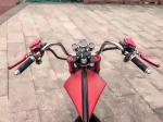 19 Inch Tyre Citycoco Electric Scooter 60V 20ah 1500W-2000W EEC/COC Approval