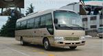 Electric Wheelchair Ramp Star Minibus Transport Electric Tourist Bus