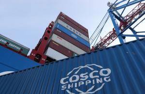 China Warehouse Storage LCL Container Shipping FOB Sea Freight Forwarder on sale