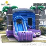 Inflatable Bounce House For Party Bouncing Castles Combo Jumping Inflatable