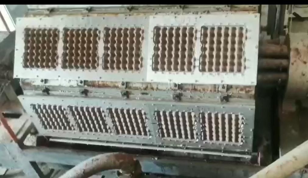2 Colors Paper Pulp Molding Rotary Egg Tray Machine 150kg/H Waste Paper Consumption