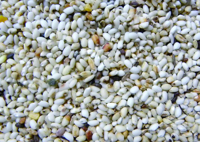 2 Chutes RGB Camera Sorting Machine / Rice Color Sorter Low Power Consumption
