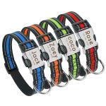 Durability Polyester Dog Collar