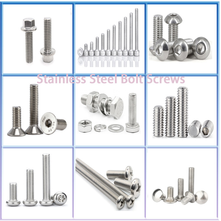 DIN603 Zinc Plated Mushroom Square Neck Carriage Bolt M4 M6 M8 M10 M12 100mm Length OEM