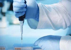 Quality Safety Medical Examination Gloves Disposable Powder Free Protection Nitrile Latex wholesale