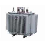 Eco Friendly Oil Immersed Transformer 6.6 KV - 50 KVA Oil Type Transformer