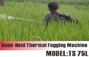 Quality Water - Based Chemicals Thermal Fogger wholesale