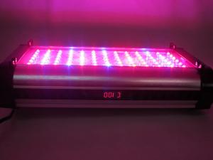 Quality Cidly 150w led grow panel lighting, 2 channel control independent dimming. wholesale