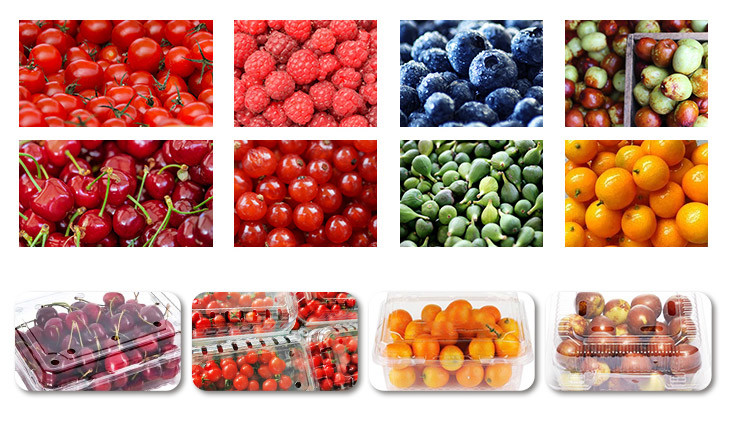 Fresh Fruit Packing Automatic Multihead Weigher Granule Little Tomato Filling Machine