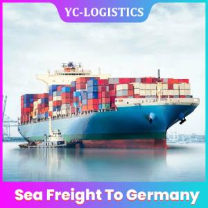 Quality Hongkong FTW1 25 To 28 Working Days Sea Freight To Germany wholesale