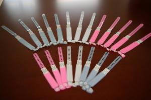 Quality Surgical plastic hospital patient id band id bracelet patient wristband insert card type wholesale