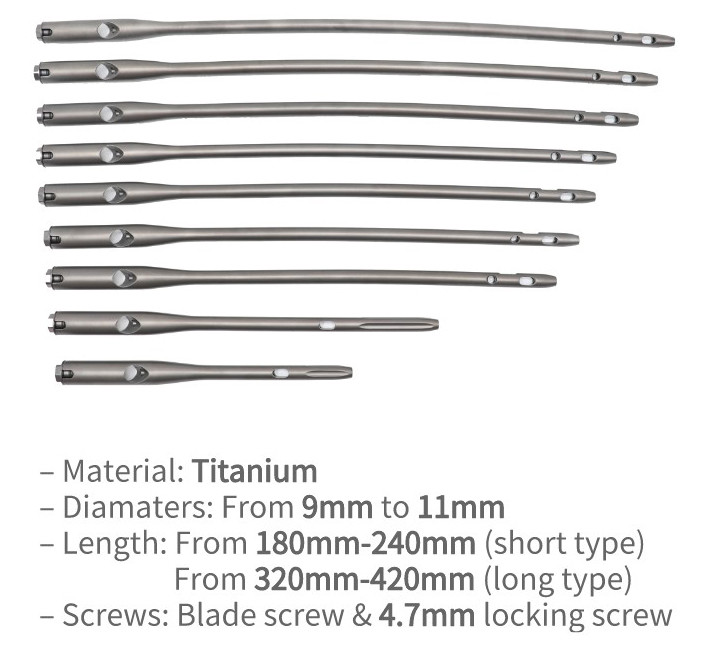 Orthopedic Trauma PFNA Femoral Intramedullary Interlocking Nail